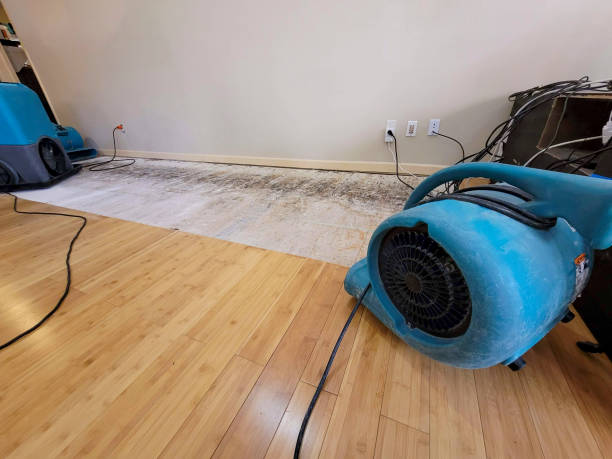 Professional Water Damage Repair technician working in Sebewaing, MI
